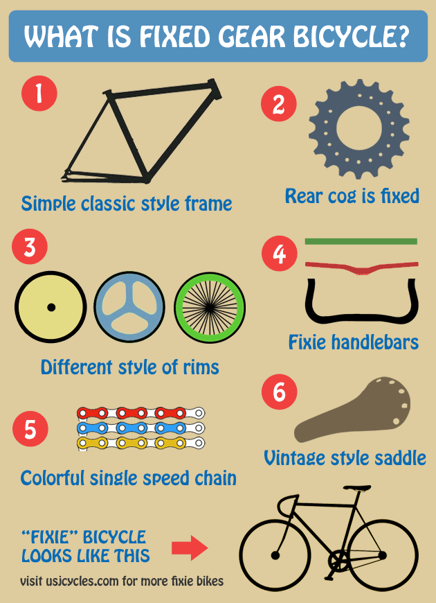 fixie-bicycle-infographic-1