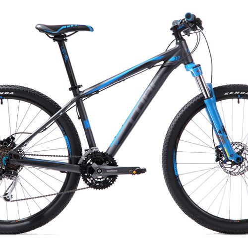 black and blue mountain bike