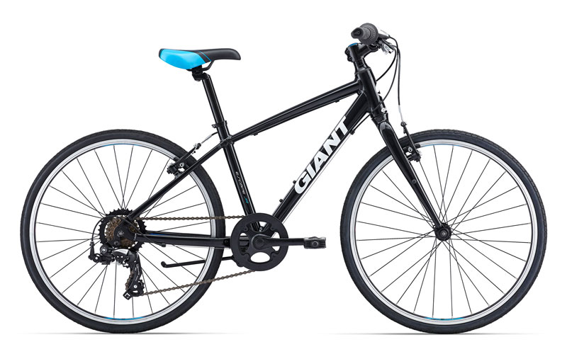 giant mtb 24