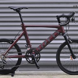 mini velo tern surge