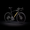 Trek Domane AL 2 Road Bike